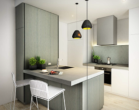 Assemblykitchen.png - large